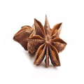 Star Anise New Crop Meilleur prix Fournisseur